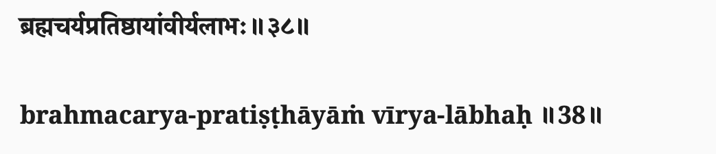 The Supporting Lineup – Campbell Yoga